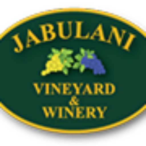 Jabulani badge