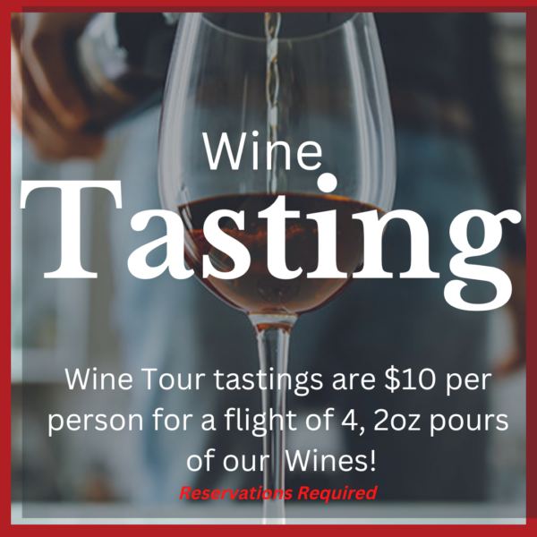 Wine Tasting